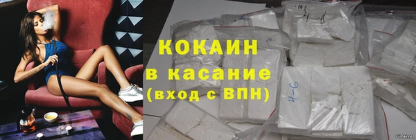 трава Няндома