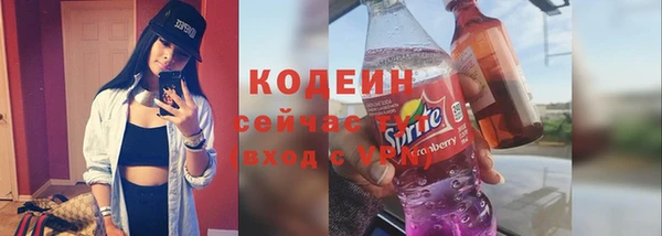 трава Няндома